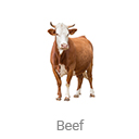 beef