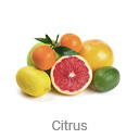 citrus