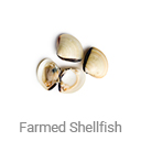 farmed_shellfish