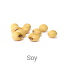 soy