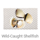 wild_caught_shellfish