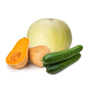 Cucumbers Melons Squash