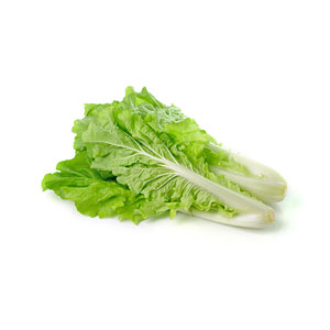 Lettuce and Leaf Vegetables