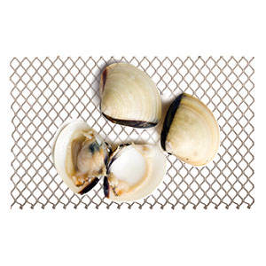 Wild-Caught Shellfish