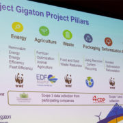 Walmart Project Gigaton