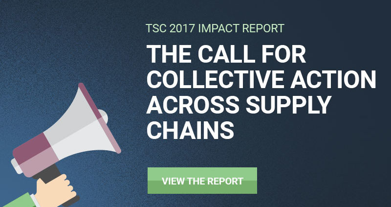 2017 Impact Report