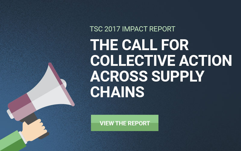 Impact Report 2017