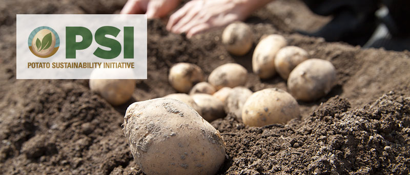 Potato Sustainability Initiative