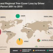 TSC Drivers of Tree Cover Loss Infographic_72dpi