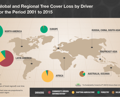 TSC Drivers of Tree Cover Loss Infographic_72dpi