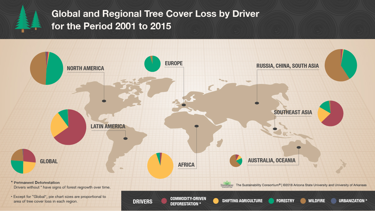 TSC Drivers of Tree Cover Loss Infographic_72dpi