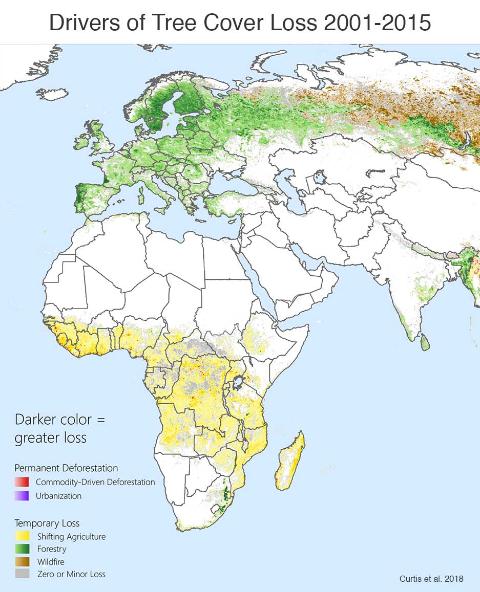 Deforestation Africa and Europe