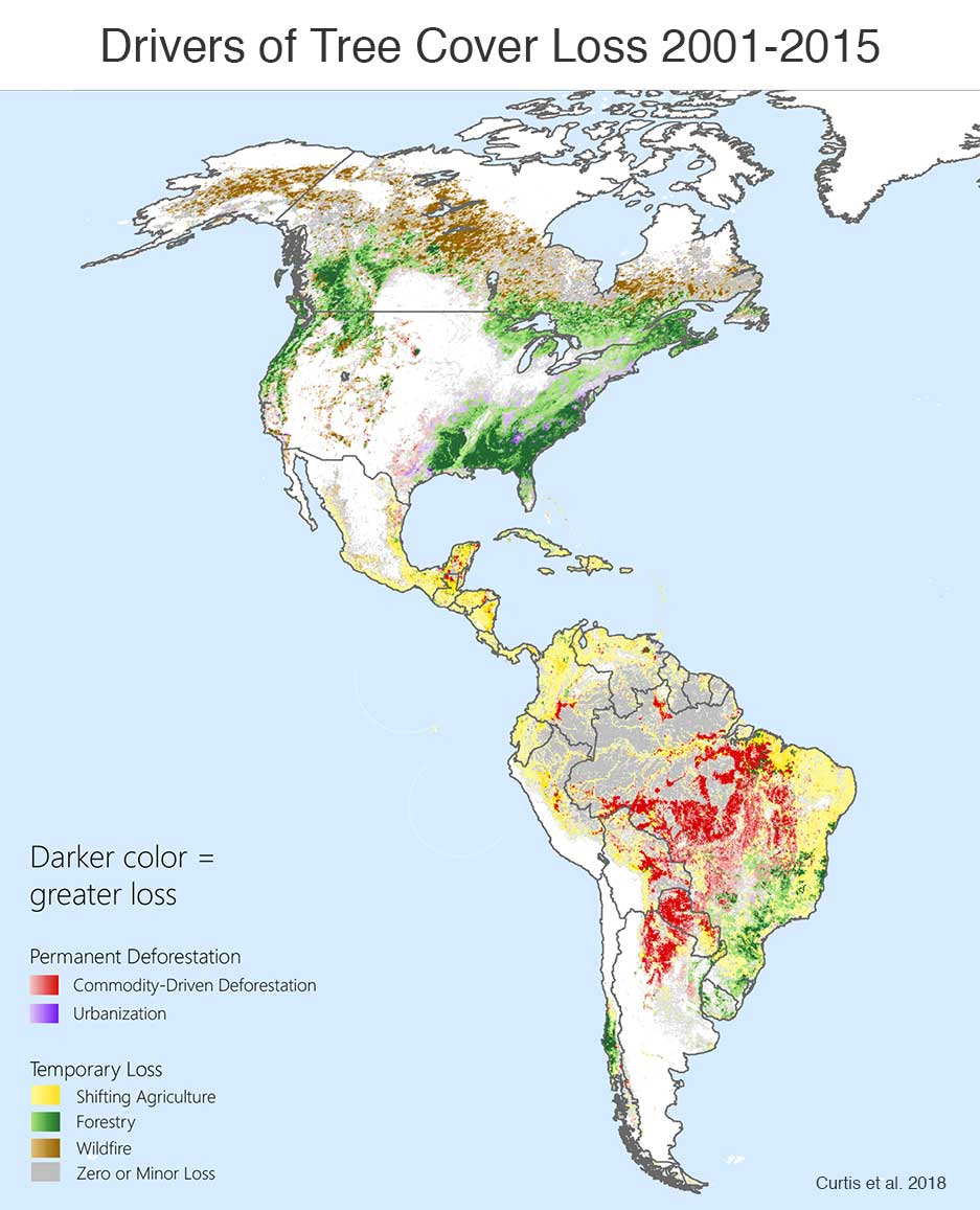 Deforestation North America