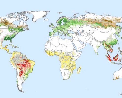 Map of Deforestation 2001-2015