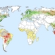 Map of Deforestation 2001-2015