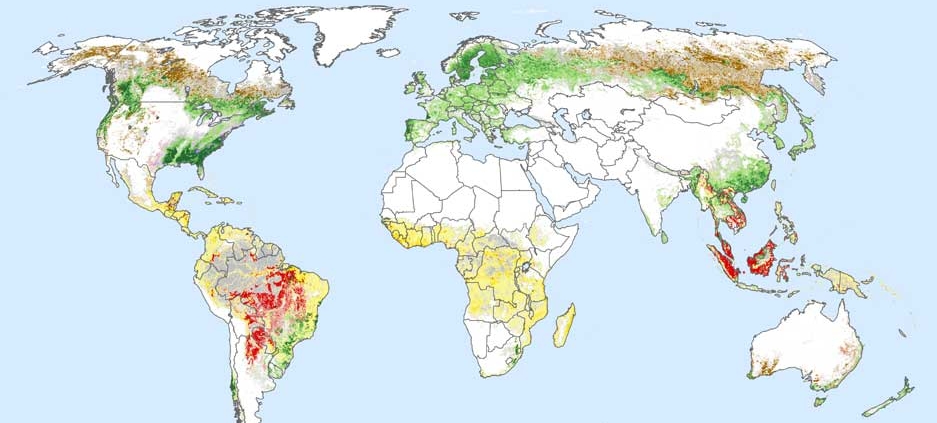 Map of Deforestation 2001-2015