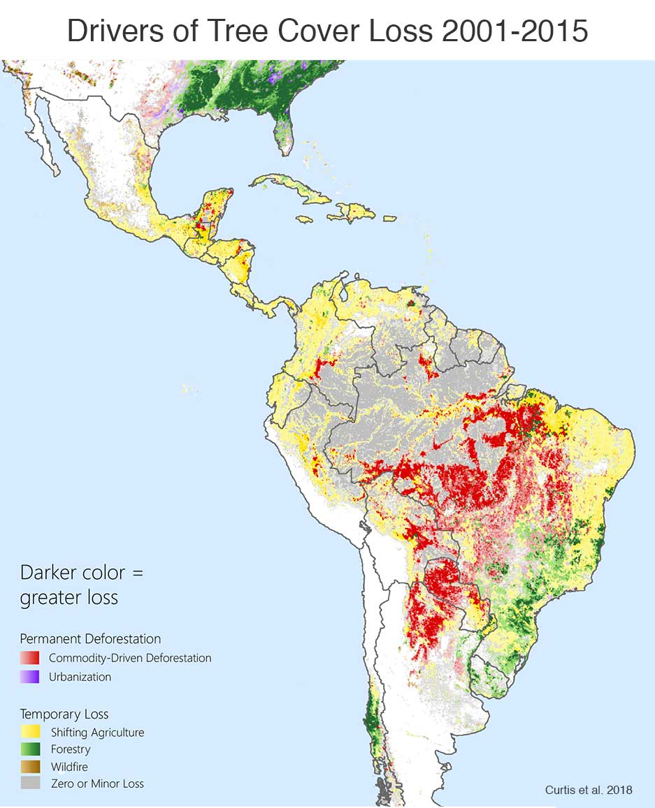 Deforestation South America