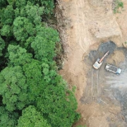 Deforestation Malaysia