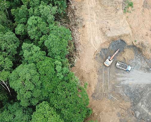 Deforestation Malaysia