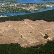 Deforestation. (Aerial view).