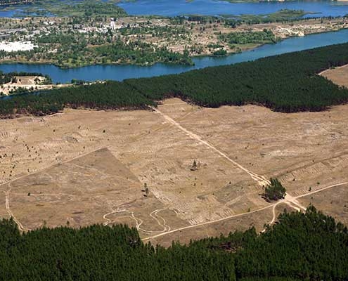 Deforestation. (Aerial view).