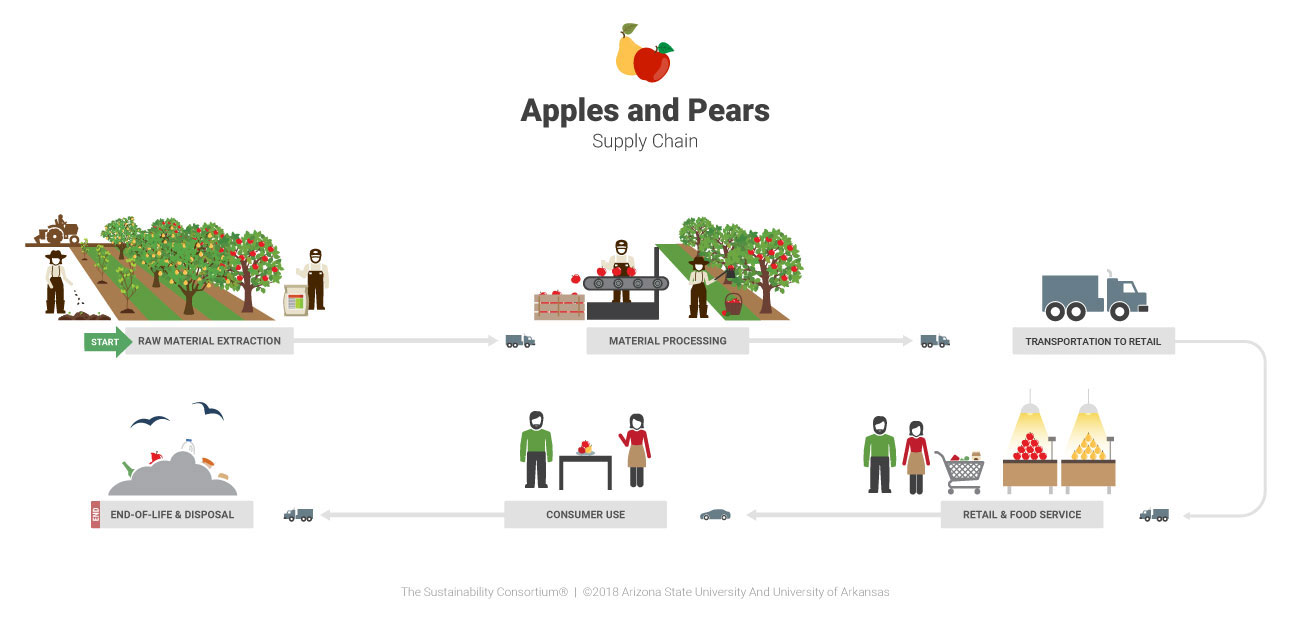 Apples Supply Chain Diagram