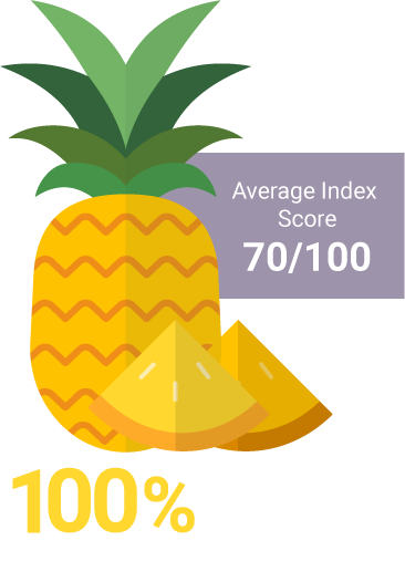 Pineapple Sustainability